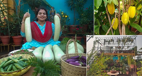 Bangaru Jhansi’s 800-square-foot terrace has more than 500 varieties of flowers, fruits, leafy greens and other vegetables.