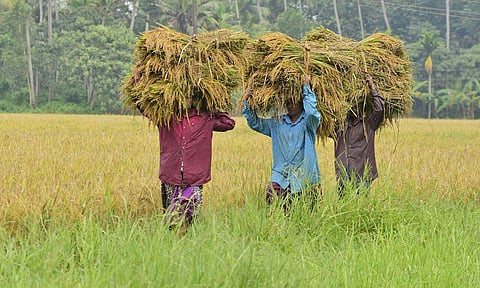 Image used for representational purpose.(File Photo | EPS)