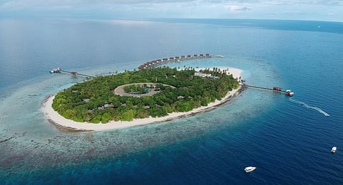 Image used for representational purposes only. (Photo | Special arrangement)