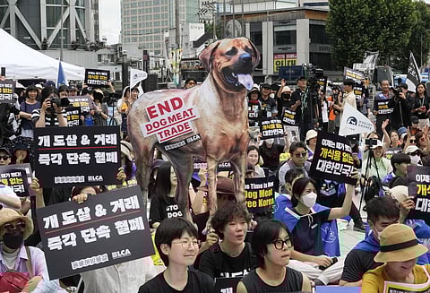 Animal rights activists stage a rally opposing South Korea's traditional culture of eating dog meat in Seoul, South Korea on July 8, 2023. (File Photo | AP)