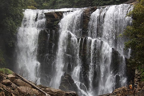 Image used for representative purpose.