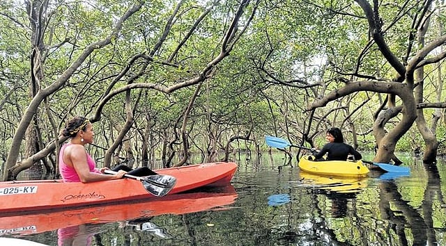 Kayaking in Siolim