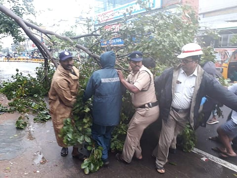 A visual from Kakinada in Andhra Pradesh where trees have fallen on electric lines. (Photo | EPS)