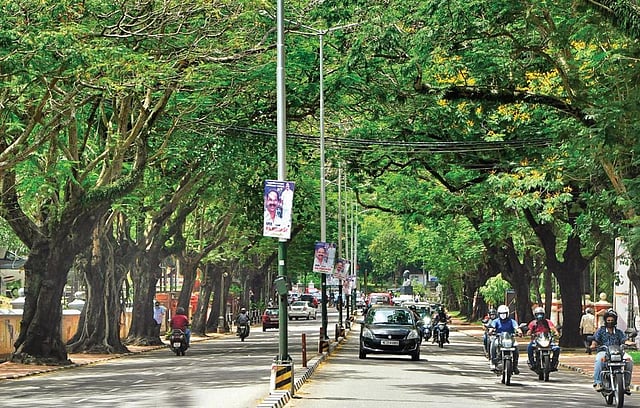 The Museum - Vellayambalam road that is part of the Smart Road project and maintained by the Kerala Road Fund Board. Kerala needs good roads, not merely more roads! (Photo | BP Deepu)
