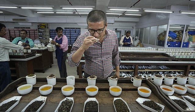 J Thomas & Co Pvt Ltd Director Arijit Dasgupta tastes tea at Nilhat House, in Kolkata. (Photo | PTI)