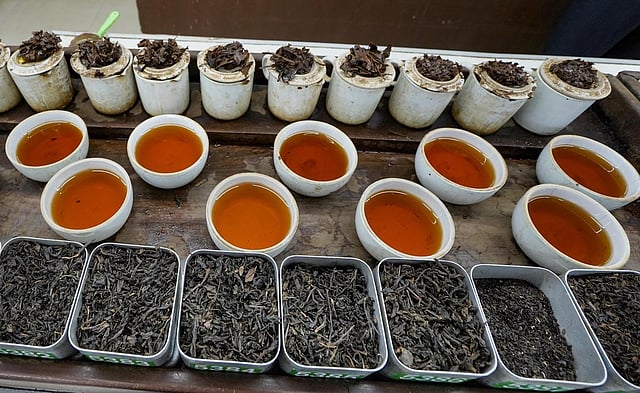 Tea liquor in white cups kept on a table during Tea Tasting at Nilhat House, in Kolkata. (Photo | PTI)