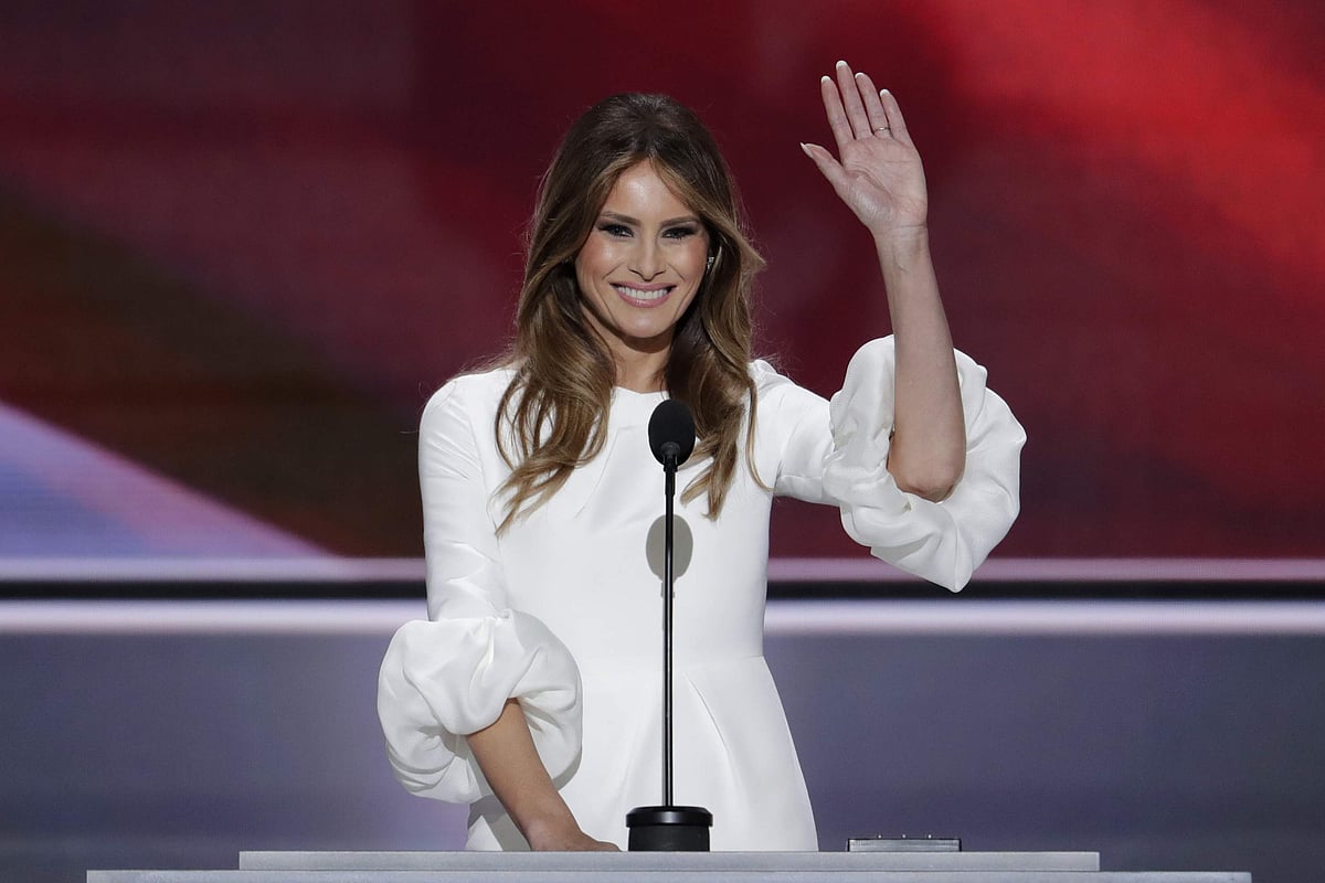 Melania Trump's new portrait divides public opinion