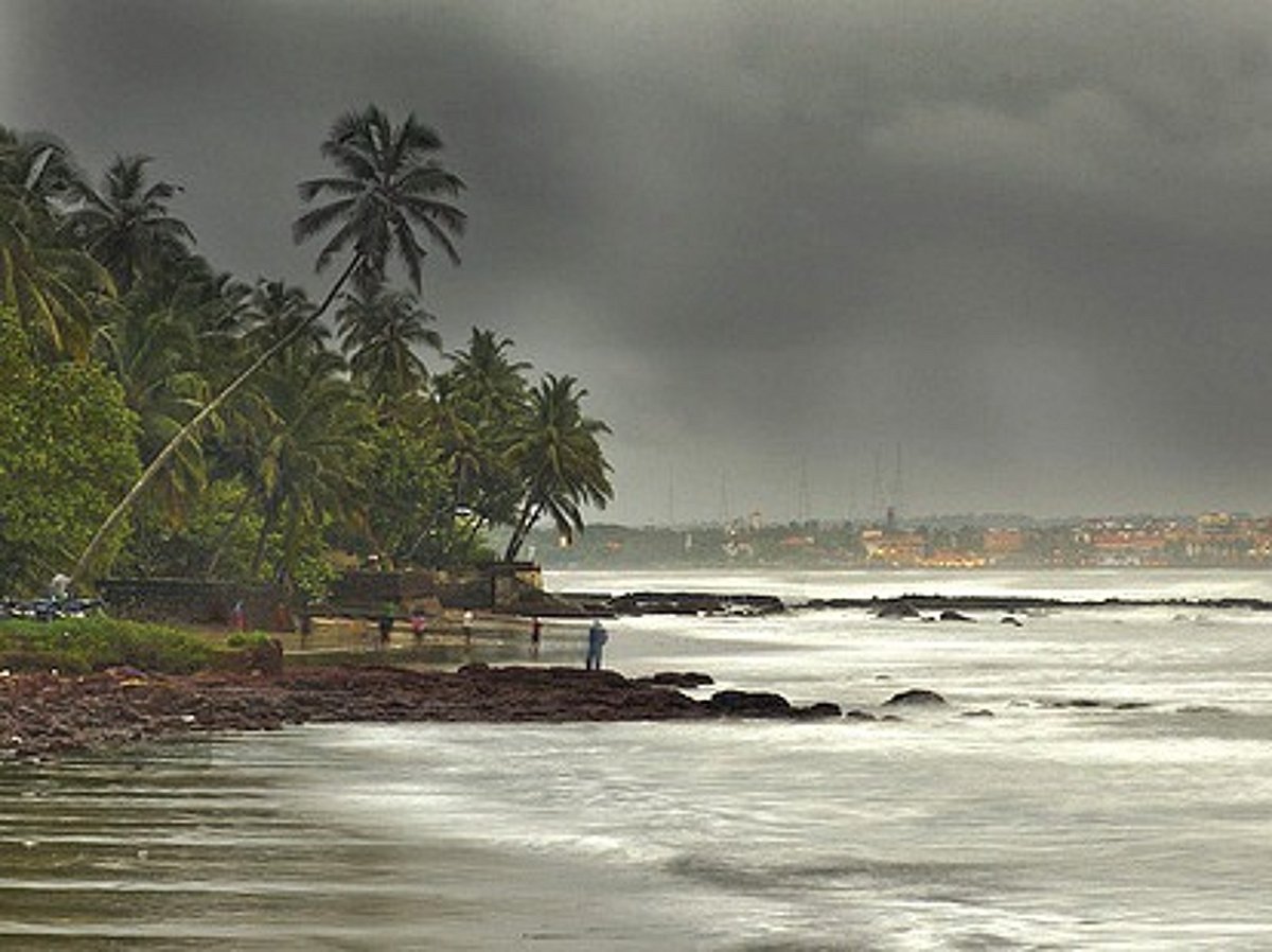 Goa In Rains Goa in rains, a green haven called champakali and an art encounter
