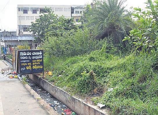 ‘Uncleared garbage gives sleepless nights’