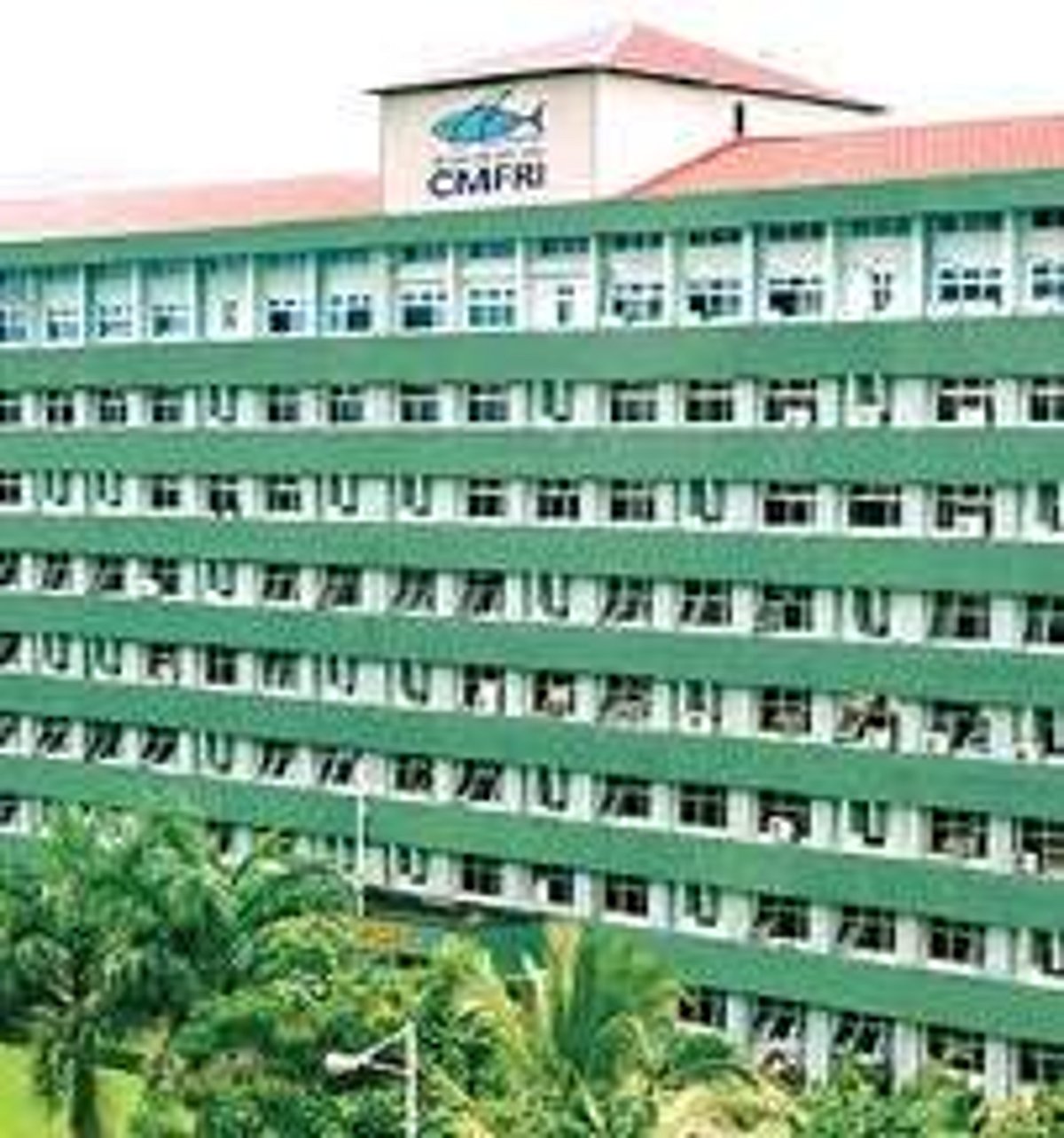 Cmfri CMFRI to train officials from 13 Afro-Asian countries