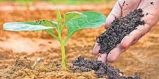 Micro compost centres in Dindigul corpn offer 673 tonnes of manure for ...