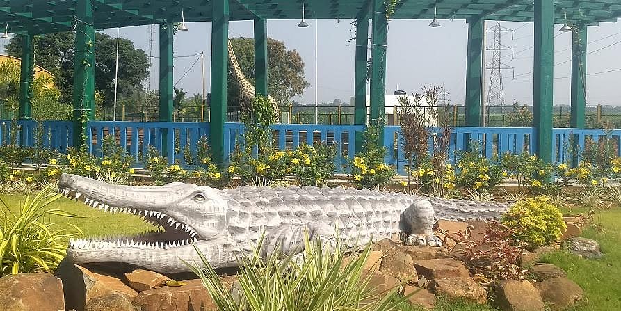 Crocodile ramp in Dandeli to open for visitors soon
