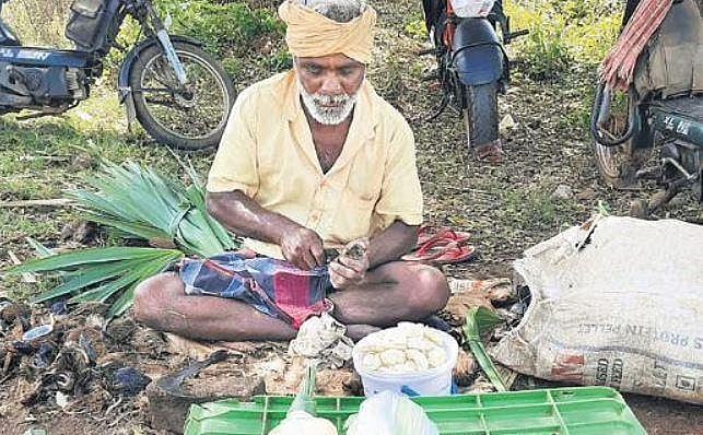 Palmyra seed holds ground amid virus scare