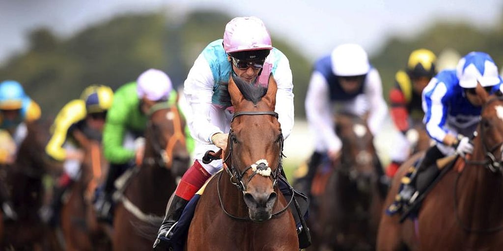 Experience turf racing, live