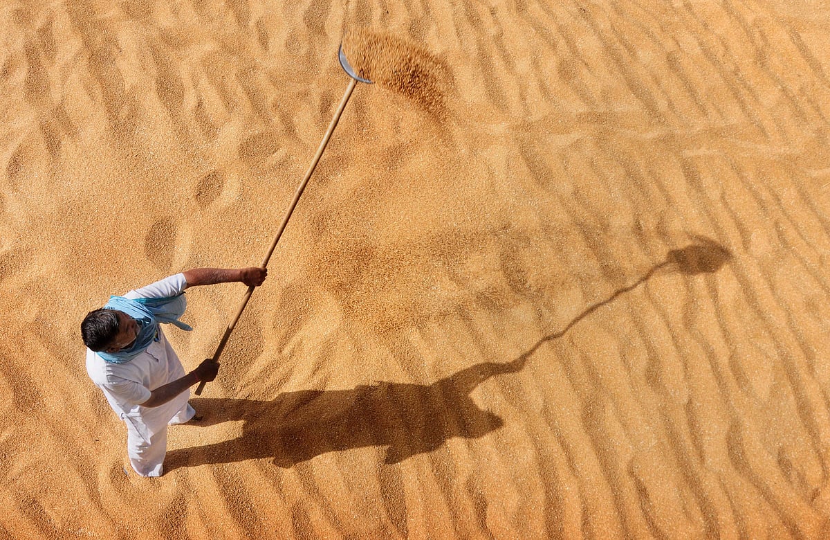 Centre relaxes norm for wheat procurement