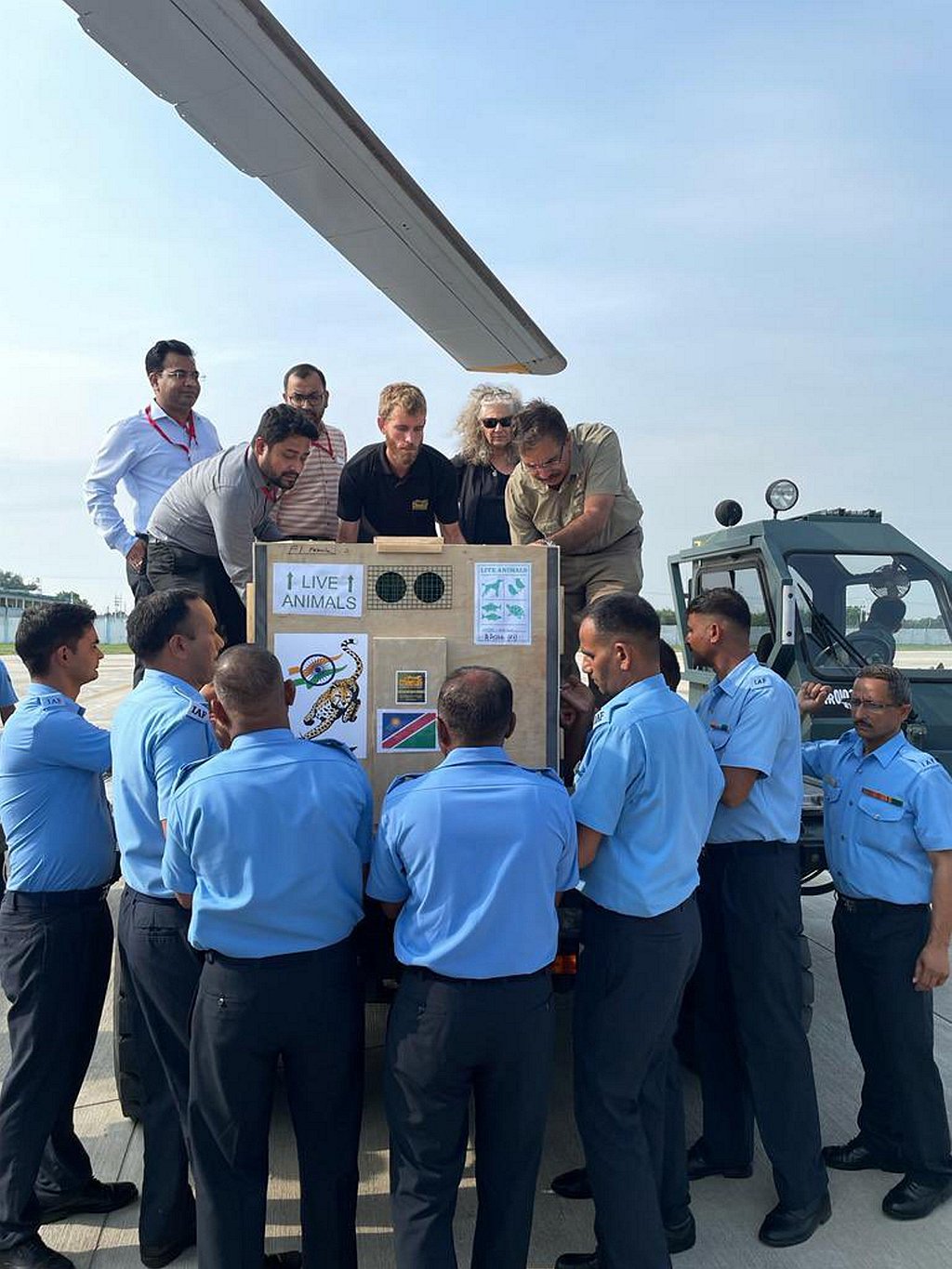 Eight Cheetahs IN PICS | Eight cheetahs from Namibia flown to India; PM releases them ...