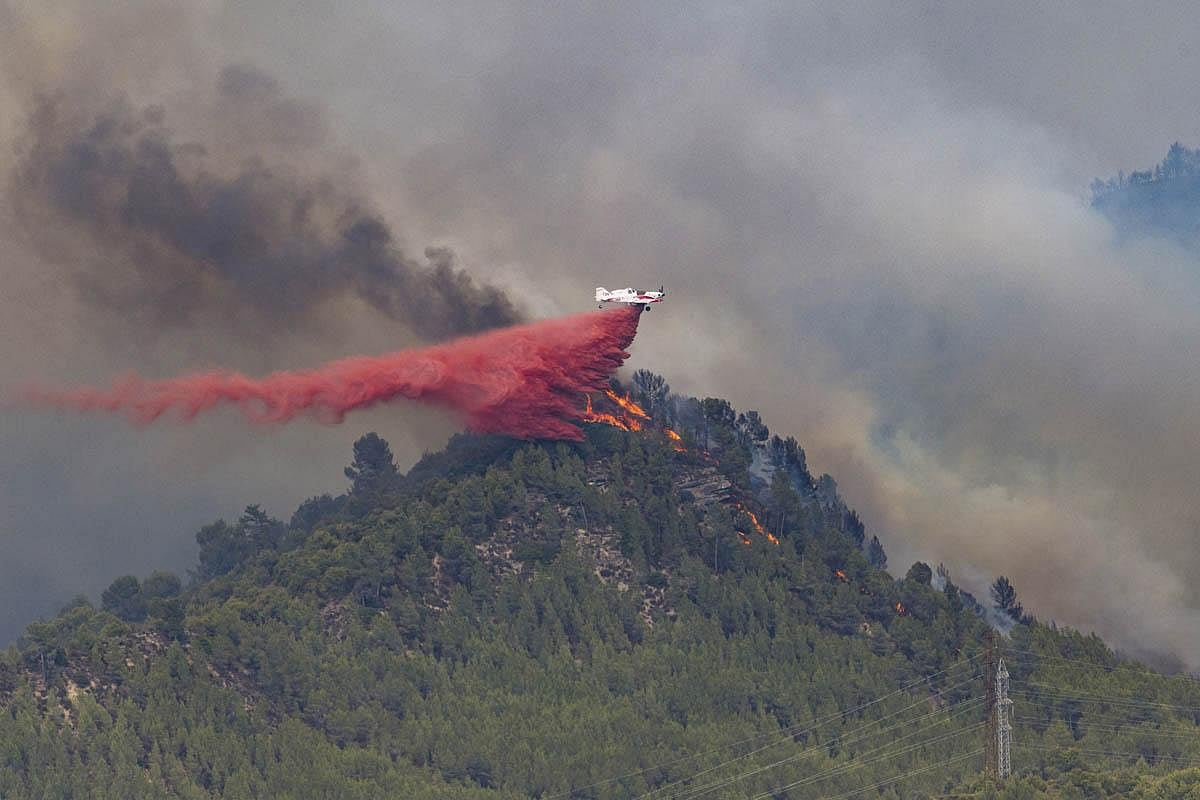 '9.3 million hectares of tree cover scorched globally in forest fires ...