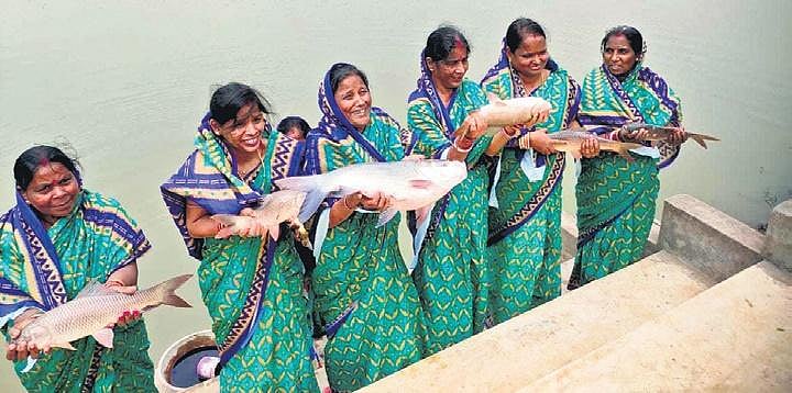 Local fish production, a hit story in Cuttack district