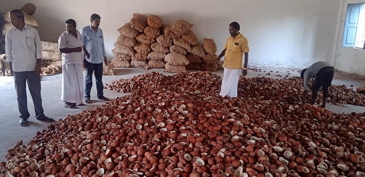 Copra procurement center to be established in TN's Dharmapuri