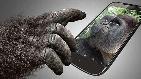 Corning Gorilla glass.