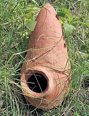 An earthen sparrow nest on Ma Manikeswari University campus.