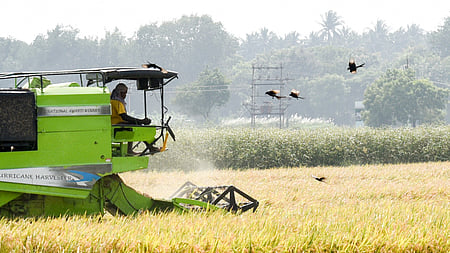 Image used for representational purpose