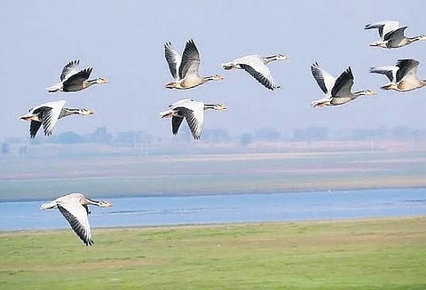 Image used for representational purposes,