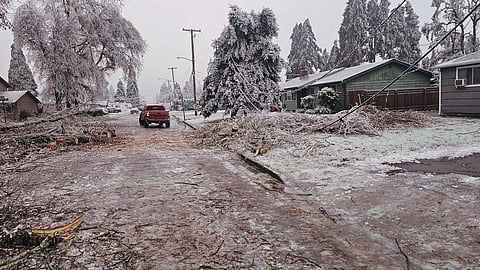 Branches and fallen trees are scattered on the road on Tuesday, Jan. 16, 2024, in Creswell, Ore. 