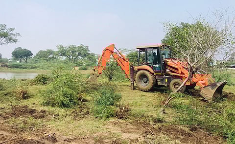 Youth remove invasive trees, restore lake in TN's Iluppaikkudi to mark Bhogi fest