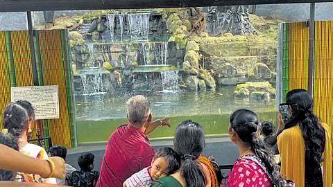 Visitors at the renovated otter enclosure. 