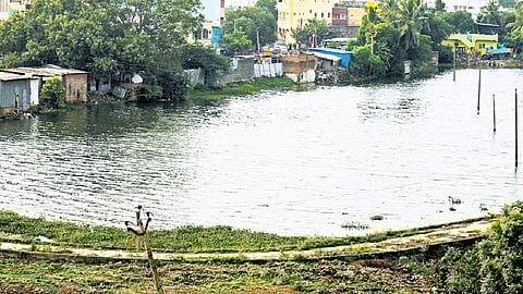 A scene near Kolathur lake in Chennai 