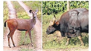 Image used for representational purpose