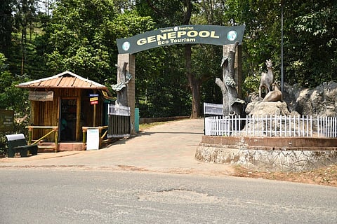 Genepool Ecopark at Nadugani