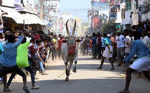 Image used for representational purposes only