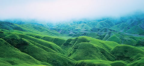 This indie bookhouse, tucked away amidst the scenic hills of Chumukedima in Nagaland, gears up to host the region’s first literary festival — the White Owl Literature Festival and Book Fair. 