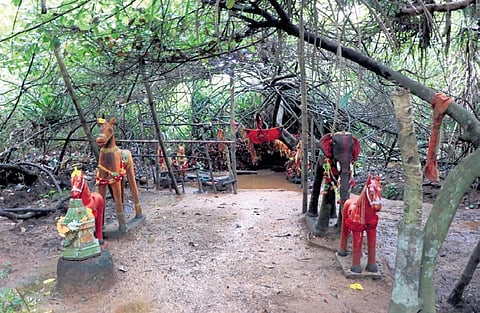 These miniature patches of forest land, often brimming with biodiversity, are traditionally dedicated to deities that tribals worship.