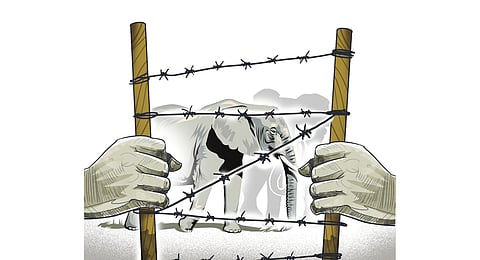 Image used for representational purposes.