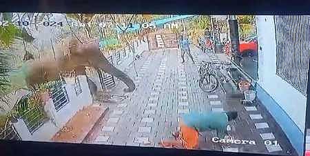 A video grab of an elephant attacking a man in Kerala's Wayanad.