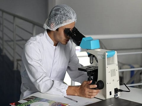 Image used for representation.