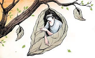 Image used for representation