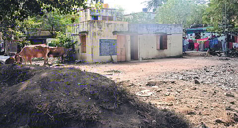 One of the anganwadi centres is being used as cowshed. 