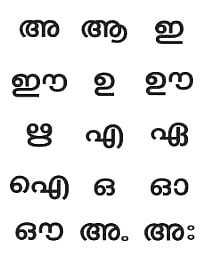 Literacy Mission’s ‘Pachcha Malayalam’ programme set for major ‘course’ correction