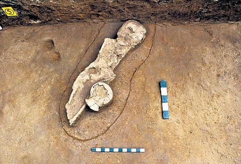 The pot beside the skeleton is typical of neolithic period. Many shreds of burnished red ware and  burnished grey ware belonging to the same period were also found at the burial site 