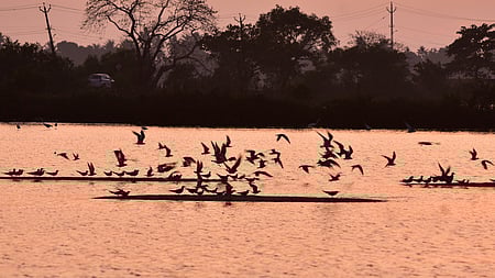 The missing person has been identified as Sharafuddin, a resident of Fort Kochi.