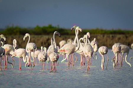 Representative Image.