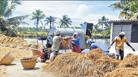 Image of farmers used for representational purposes.