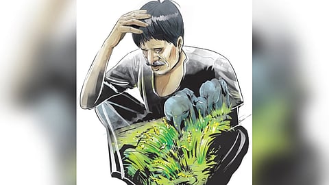  510 incidents of wild animal attacks were recorded between March 2023 and April 2024. This includes attacks by elephants, Indian gaurs and wild boars, leading to crop damage. 