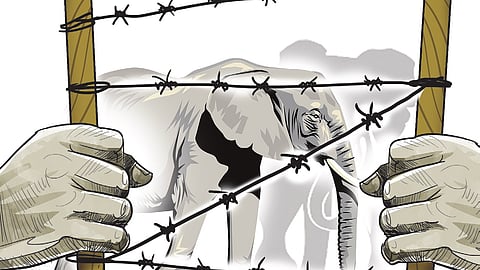 Image used for representational purpose