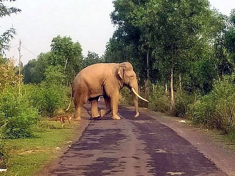 Union Minister Bhupender Yadav at Ajeesh’s residence in Wayanad.