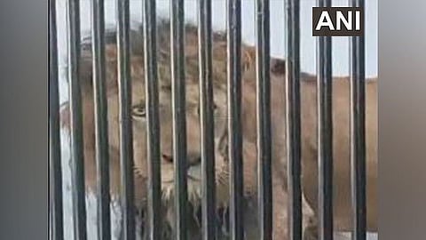 Image used for representational purposes only.